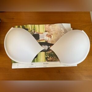 Albion Fit BFF swimsuit inserts